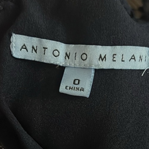 NWT,Antonio Melani Marta Lace Dress in Misty Garden, Exquisite, Cocktail, Size 0 - Picture 9 of 12